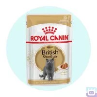 Вологий корм Royal Canin British Shorthair Adult для котів породи британська короткошерста 85г (2032001)