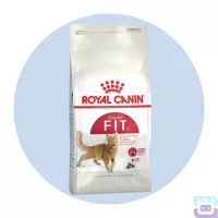 Сухий корм для котів Royal Canin Fit 32 0.4 кг (2520004)