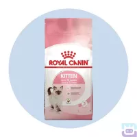 Сухий корм Royal Canin Kitten для кошенят від 4 до 12 місяців, 10 кг (2522100)