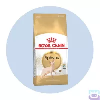 Сухий корм Royal Canin Sphynx Adult для котів породи сфінкс (від 12 місяців), 10 кг (2556100)