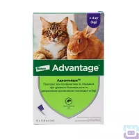Каплі від бліх для котів і кролів від 4 до 8 кг Advantage "Elanco"