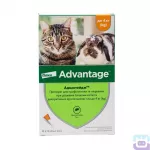Каплі від бліх для котів і кролів до 4-х кг Advantage "Elanco"