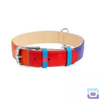 Нашийник для собак шкіряний WAUDOG Glamour "Райдуга" з QR паспортом, М:30-39/2 см (3920)