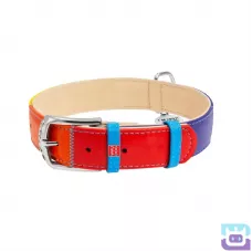 Нашийник для собак шкіряний WAUDOG Glamour "Райдуга" з QR паспортом, М:30-39/2 см (3920)