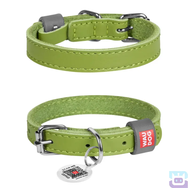 Нашийник для собак шкіряний Collar Waudog Classic з QR паспортом XS:21-29/1.2 см салатовий (02025)