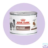 Вологий лікувальний корм Royal Canin Recovery для собак та котів у період відновлення та після хвороби, 195 г (4055002)