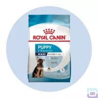 Сухий корм  Royal Canin Maxi Puppy для цуценят великих порід до 15 місяців, 15 кг (30061501)