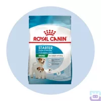 Сухий корм Royal Canin Mini Starter для цуценят міні порід, 8 кг (2990080)