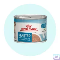 Консерва Royal Canin Starter Mouse для вагітних собак та цуценят, 195г (4077002)