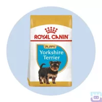 Сухий корм для цуценят Royal Canin Yorkshire Terrier Puppy породи йоркширський тер’єр від 2 до 10 міс., 0.5 кг (39720051)