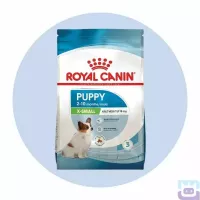 Сухий корм для цуценят малих порід Royal Canin X-Small Puppy 0.5 кг (10020051)